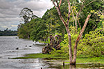 for Nature/Kambodscha click here